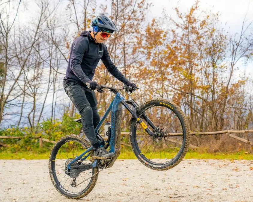 Bunny up in mountain bike