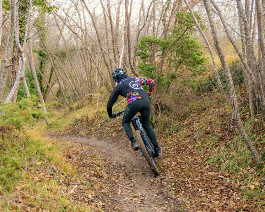 Curve in mountain bike